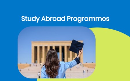 Best Study Abroad Programmes for South Africans in 2027